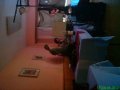 DSC03769.JPG